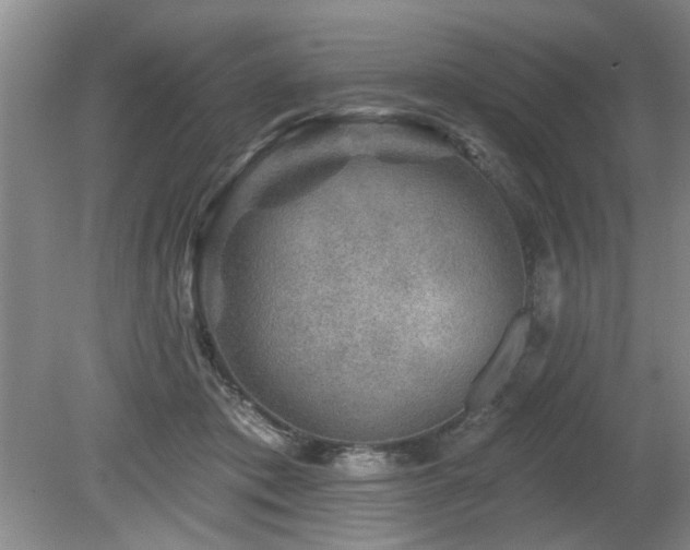 X0000080180413200612081406