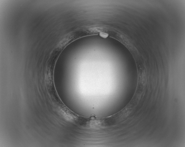 X0000080180418200612081406