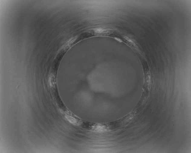 X0000080180419200612081406