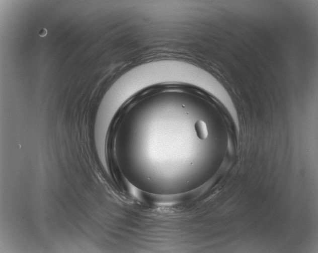 X0000080180423200612081406