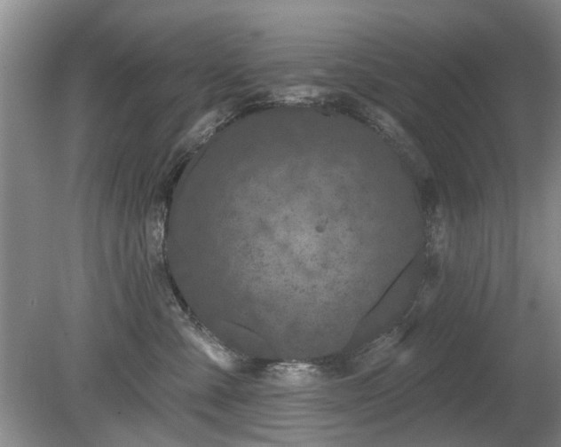 X0000080180427200612081406