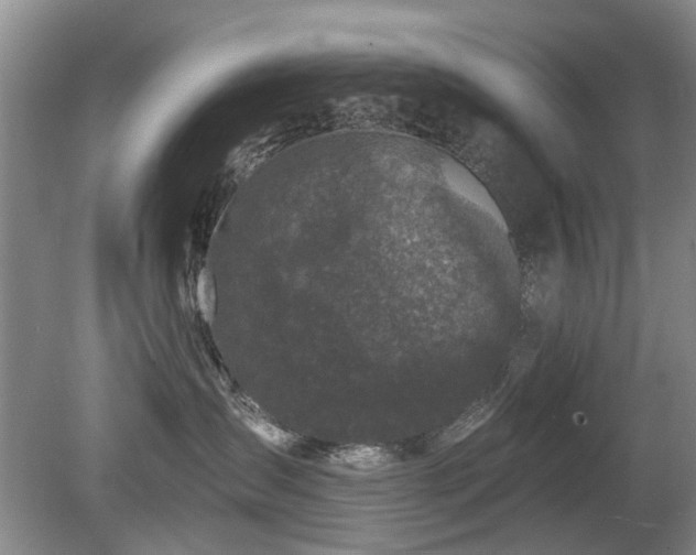 X0000080180431200612081406