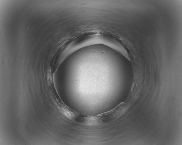 X0000080180432200612081406