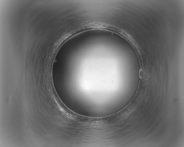 X0000080180433200612081405