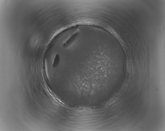 X0000080180434200612081405