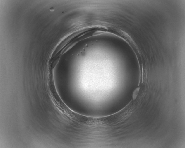 X0000080180435200612081405