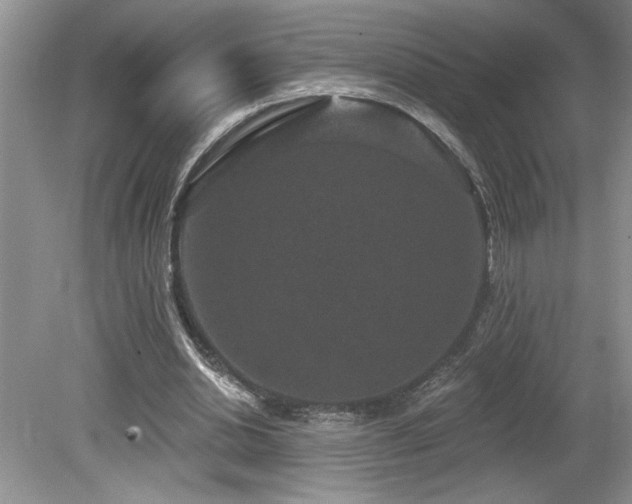 X0000080180438200612081405