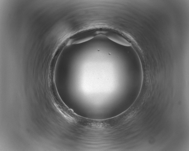 X0000080180439200612081405