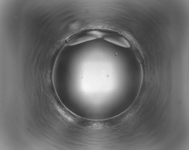 X0000080180441200612081405