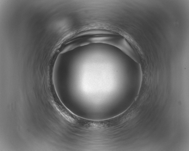 X0000080180442200612081405