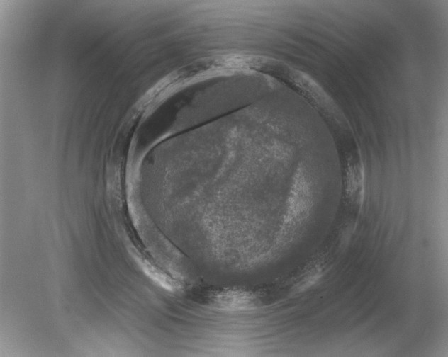 X0000080180444200612081405