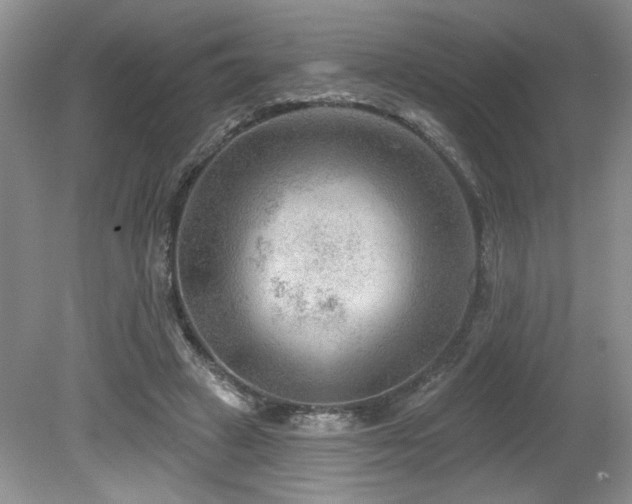 X0000080180449200612081405