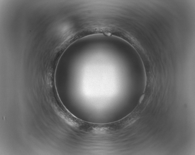 X0000080180450200612081405