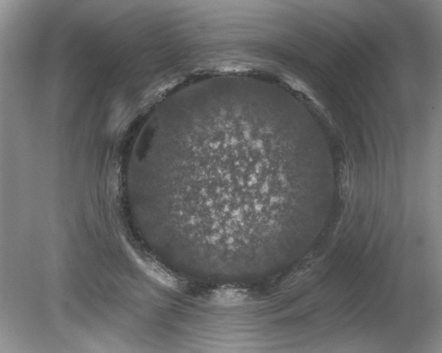 X0000080180451200612081405