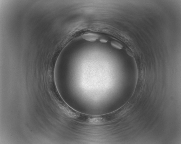 X0000080180461200612081406