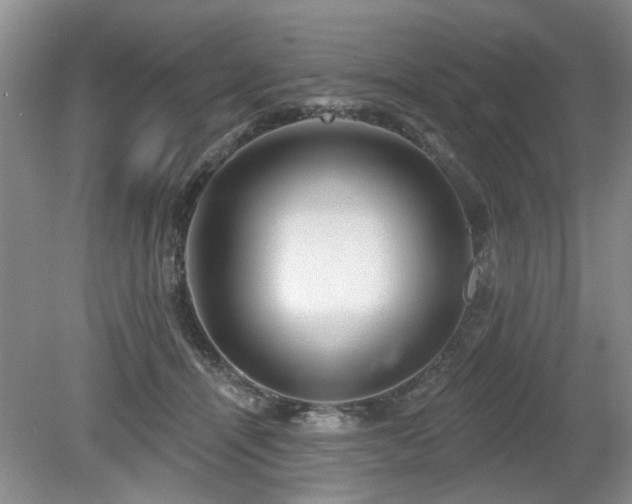 X0000080180464200612081406