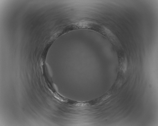 X0000080180465200612081406