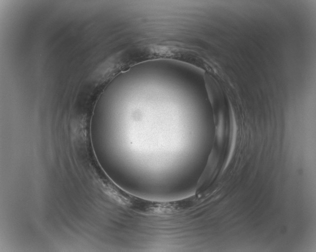 X0000080180466200612081406