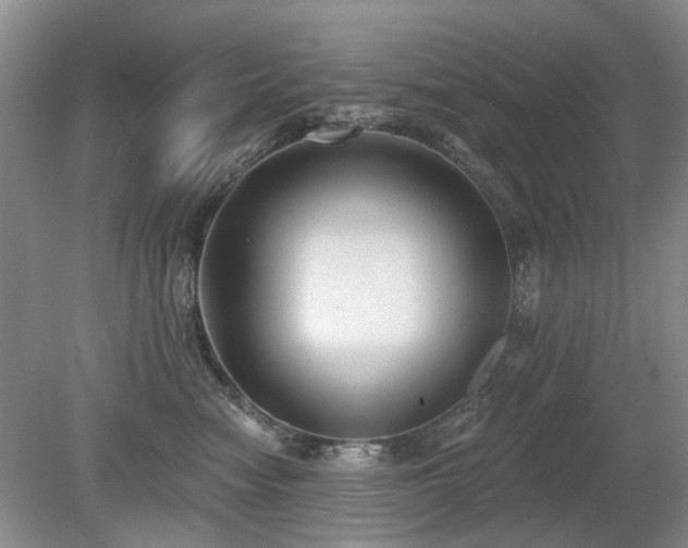 X0000080180474200612081406