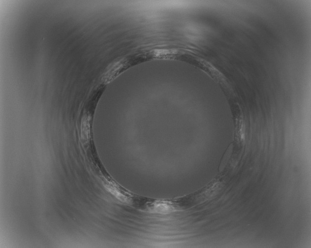 X0000080180475200612081406