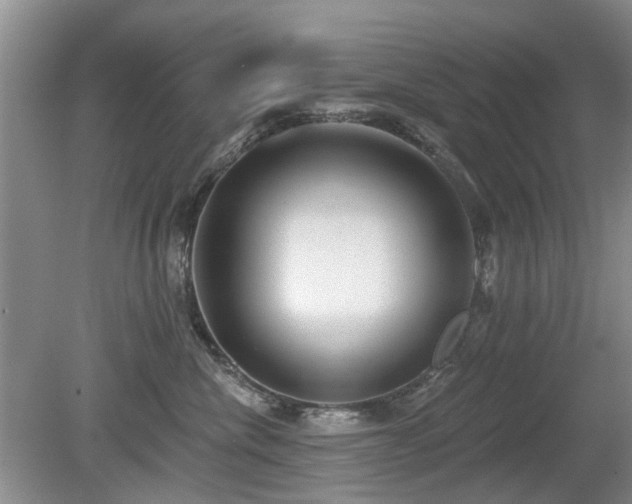 X0000080180476200612081406