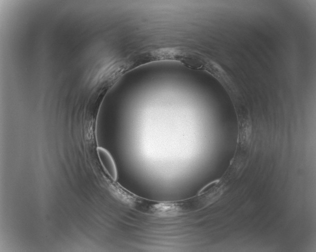 X0000080180477200612081406