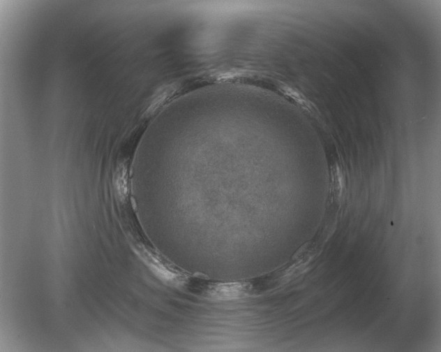 X0000080180479200612081406