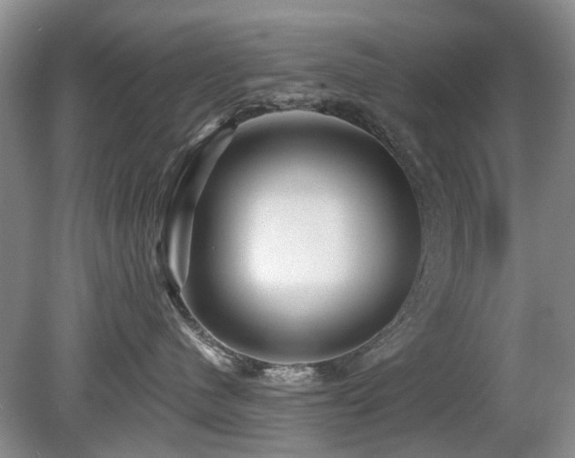 X0000080180480200612081406