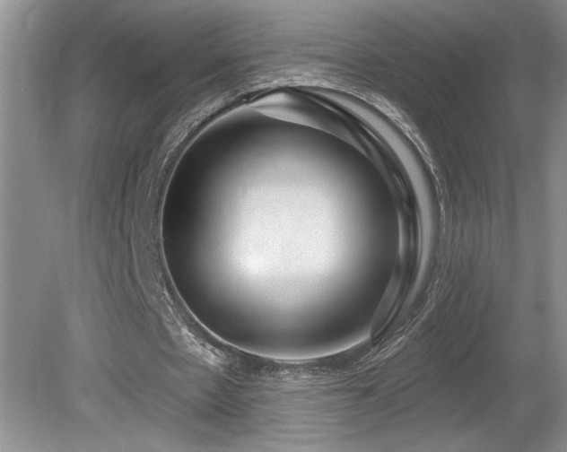 X0000080180481200612081405