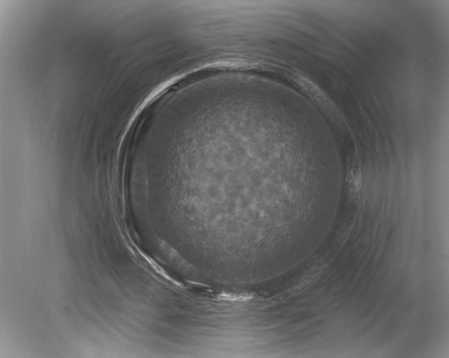 X0000080180484200612081405