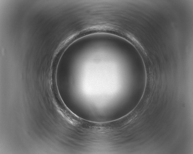 X0000080180486200612081405