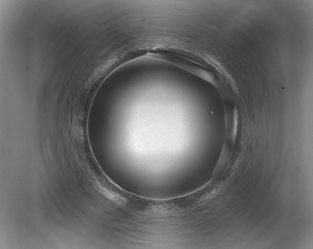 X0000080180489200612081405