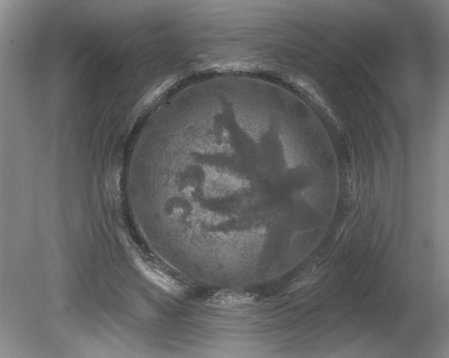 X0000080180491200612081405