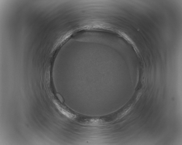 X0000080180493200612081405