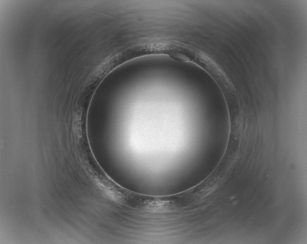 X0000080180497200612081405