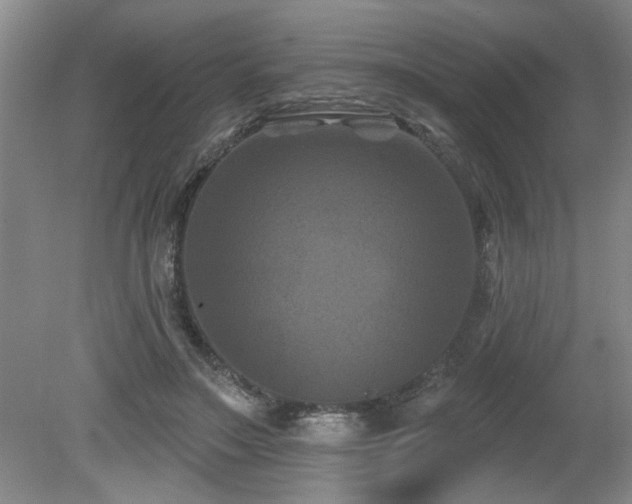 X0000080180499200612081405