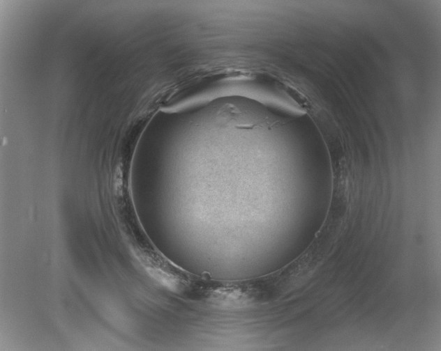 X0000080180502200612081405