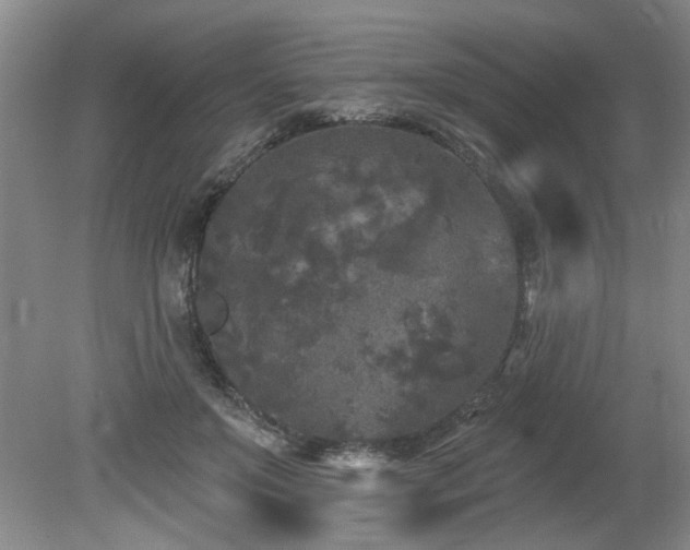 X0000080180503200612081405