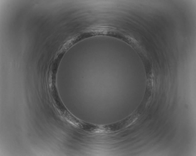 X0000080180504200612081405