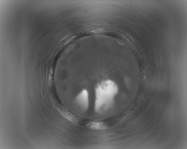 X0000080180507200612081405