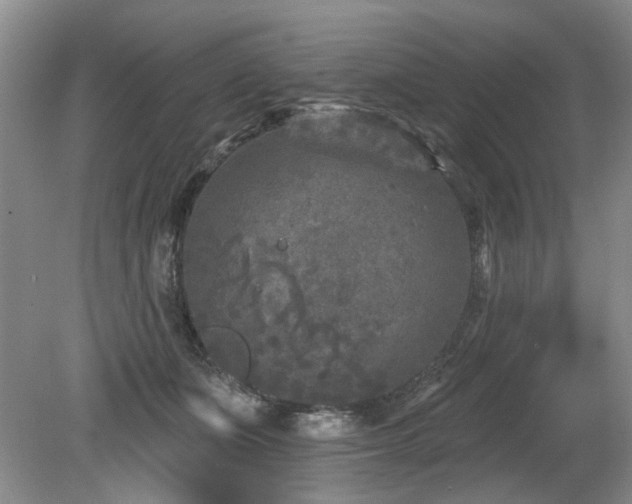 X0000080180511200612081405