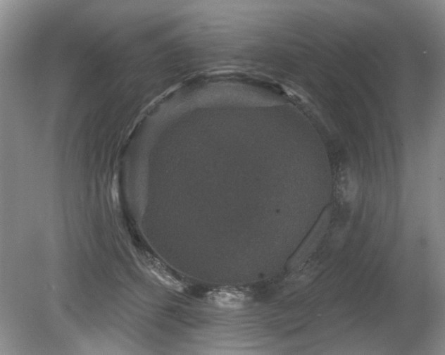 X0000080180512200612081405