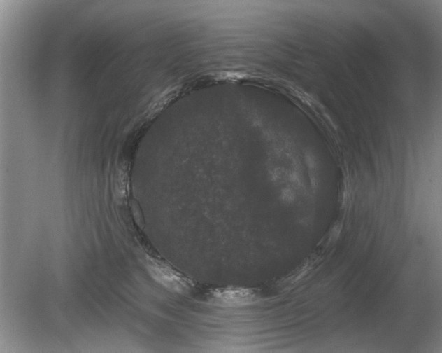 X0000080180517200612081404