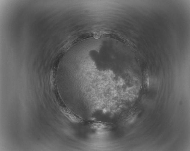 X0000080180519200612081404