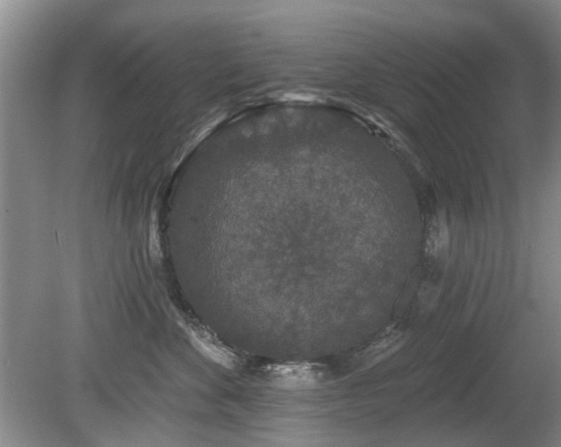 X0000080180524200612081404