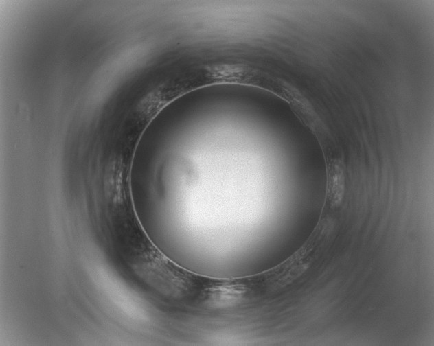 X0000080180525200612081404