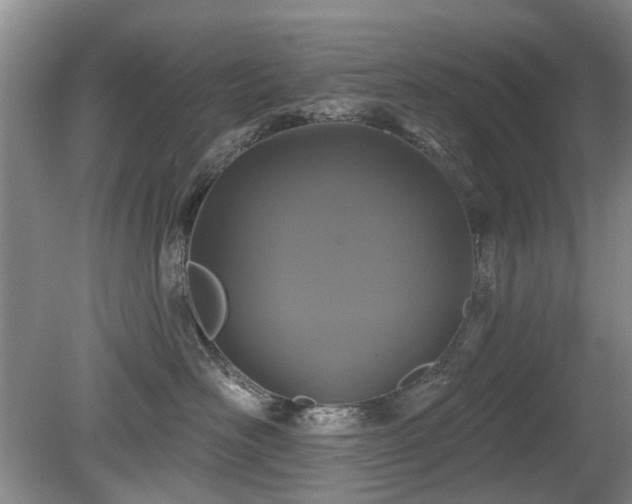 X0000080180526200612081404