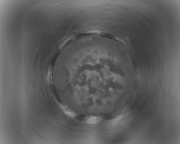 X0000080180527200612081404