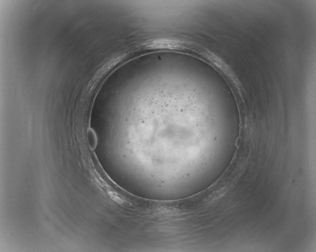 X0000080180529200612081403