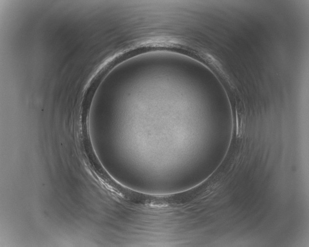 X0000080180531200612081403